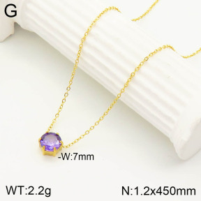2N4002562vbnl-355  Stainless Steel Necklace