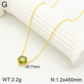 2N4002564vbnl-355  Stainless Steel Necklace