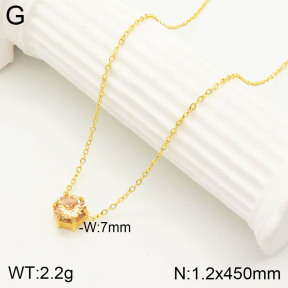 2N4002567vbnl-355  Stainless Steel Necklace