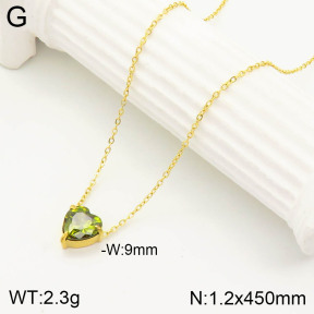 2N4002576vbnl-355  Stainless Steel Necklace