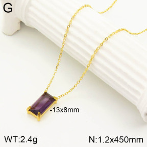 2N4002582vbnl-355  Stainless Steel Necklace