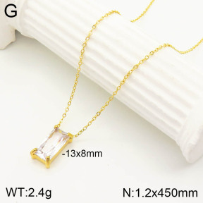 2N4002584vbnl-355  Stainless Steel Necklace