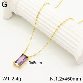 2N4002586vbnl-355  Stainless Steel Necklace