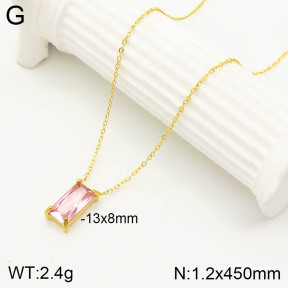 2N4002590vbnl-355  Stainless Steel Necklace