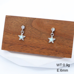 6E4003917bhki-G034  Stainless Steel Earrings  316L Synthetic Opal & Czech Stones & Zircon,Handmade Polished