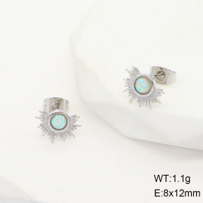 6E4003919bhii-G034  Stainless Steel Earrings  316L Synthetic Opal,Handmade Polished