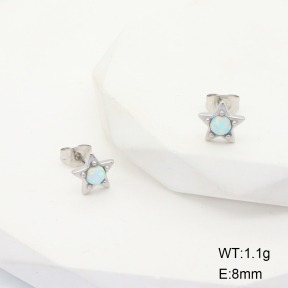 6E4003921vhha-G034  Stainless Steel Earrings  316L Synthetic Opal,Handmade Polished