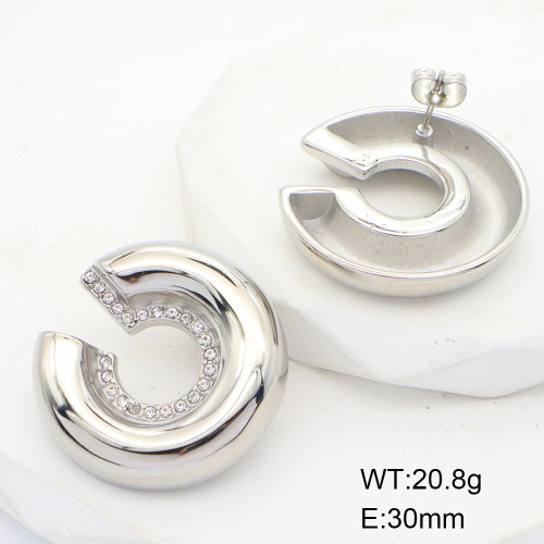 GEE001429bhva-066  Stainless Steel Earrings  Czech Stones,Handmade Polished