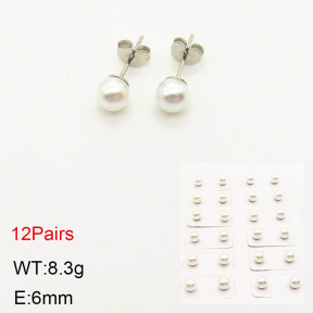 2E3001822bhia-256  Stainless Steel Earrings