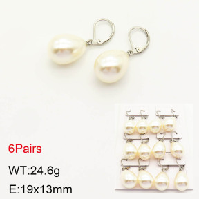 2E3001831aima-256  Stainless Steel Earrings