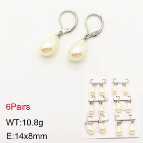 2E3001832bika-256  Stainless Steel Earrings