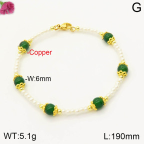 F2B300733bhia-J39  Fashion Copper Bracelet