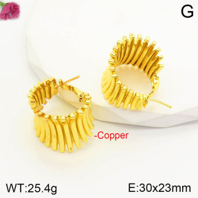 F2E200707bvpl-J163  Fashion Copper Earrings