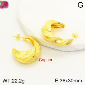 F2E200709bboi-J163  Fashion Copper Earrings