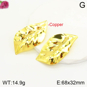 F2E200760vbnb-J163  Fashion Copper Earrings