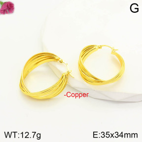 F2E200768bbov-J163  Fashion Copper Earrings