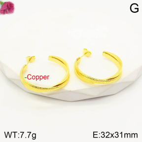 F2E200791bbml-J163  Fashion Copper Earrings