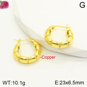 F2E200811bbml-J163  Fashion Copper Earrings