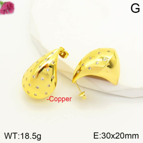 F2E401141abol-J163  Fashion Copper Earrings