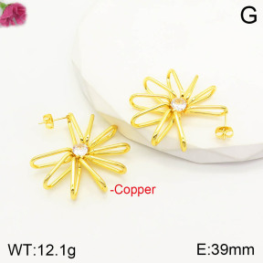 F2E401142vbnl-J163  Fashion Copper Earrings