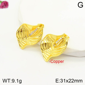 F2E401147bbov-J163  Fashion Copper Earrings