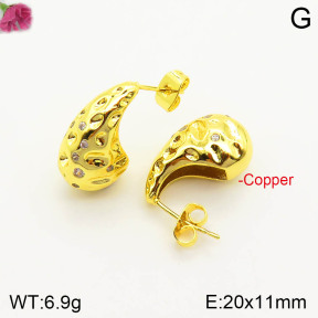 F2E401150bbml-J163  Fashion Copper Earrings