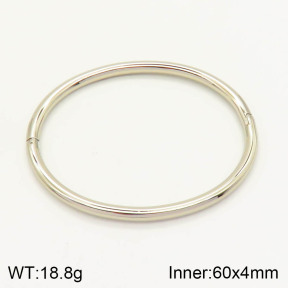 2BA200782vbnb-423  Stainless Steel Bangle