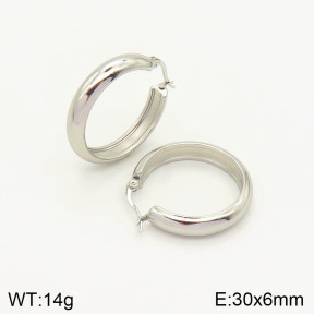 2E2003031vajj-423  Stainless Steel Earrings