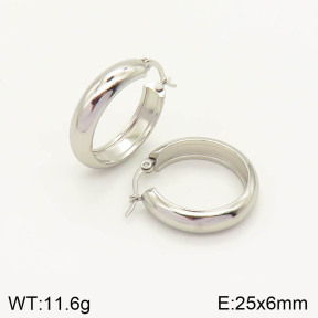 2E2003032vajj-423  Stainless Steel Earrings