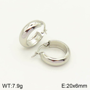 2E2003033avja-423  Stainless Steel Earrings