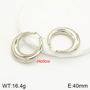 2E2003038bvpl-423  Stainless Steel Earrings