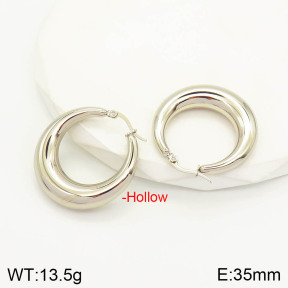 2E2003040vbpb-423  Stainless Steel Earrings