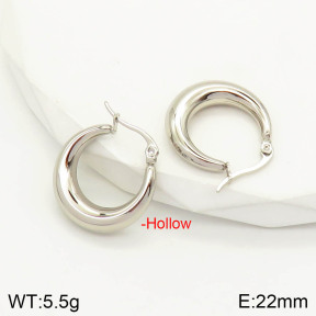2E2003042vbnl-423  Stainless Steel Earrings