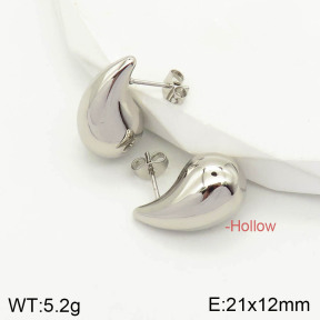 2E2003053vbnb-423  Stainless Steel Earrings
