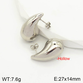 2E2003054vbnl-423  Stainless Steel Earrings