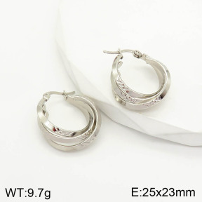 2E2003067aajl-423  Stainless Steel Earrings