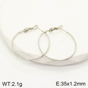 2E2003075aahl-423  Stainless Steel Earrings
