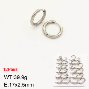 2E2003100ajma-256  Stainless Steel Earrings