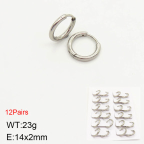 2E2003102ajma-256  Stainless Steel Earrings