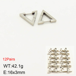 2E2003104bmmb-256  Stainless Steel Earrings