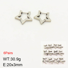 2E2003108bjja-256  Stainless Steel Earrings