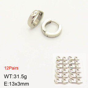 2E2003111vlma-256  Stainless Steel Earrings