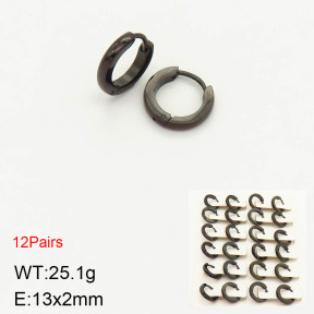 2E2003112amia-256  Stainless Steel Earrings