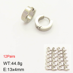 2E2003114alka-256  Stainless Steel Earrings