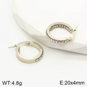 2E4002976vbmb-423  Stainless Steel Earrings