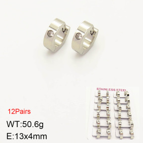 2E4002977ajma-387  Stainless Steel Earrings