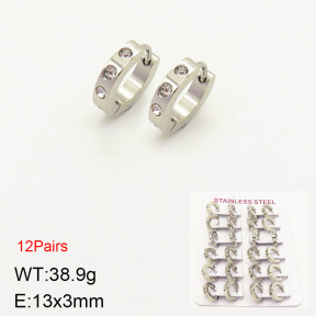 2E4002978alka-387  Stainless Steel Earrings