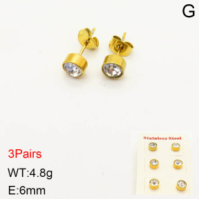 2E4002985aajl-434  Stainless Steel Earrings