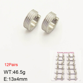2E5000159akoa-387  Stainless Steel Earrings