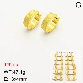 2E5000160akia-387  Stainless Steel Earrings